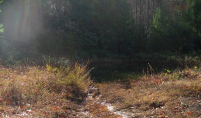 Pond
No Business Knob,
11-6-2011
