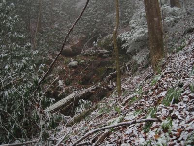 Cherokee National forest
