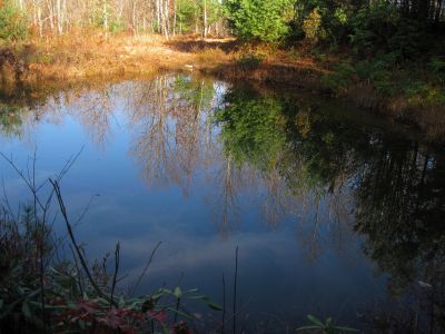 Pond
No Business Knob,
11-6-2011
