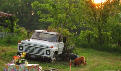 Old Ford Truck
Post-Wedding Festivities...
5-21-2011
