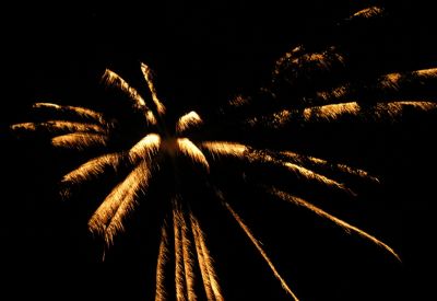 Fireworks
Post-Wedding Festivities...
5-21-2011
