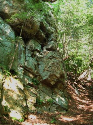 Rock Spine
June, 2011
