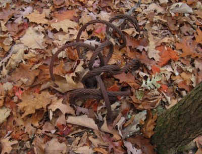 Cable
remnant of logging days...
No Business Knob,
11-6-2011
