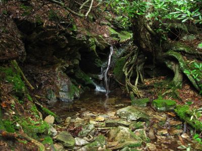 Creek Cascade
Small cascade on Oglesby Branch,
near Devils Creek Gap,
July, 2011

