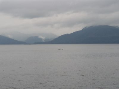 Mountains and the Sea
photo by Becky Hyder
