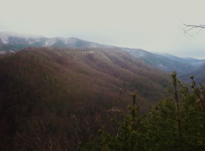 View From Longarm Ridge
The Big Pine Ridges,
1-1-2010
