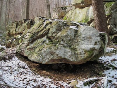 Snake Head Rock #1
...in Sill Branch.
January 2010
