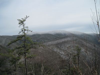 Views from Big Pine Ridge Knob
View of the 'Meatgrinder Ridge' and Sill Branch.
January 2010
