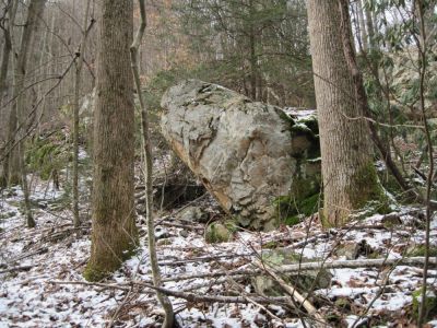 Snake Head Rock #2
in Sill Branch...
January 2010

