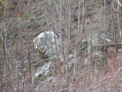 Big Rock on 'The Volcano'
This big 'turtle head' boulder overlooks the 'half-pipe hollow' from near the top of Big Pine Ridge Knob.
January 2010
