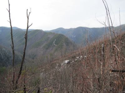 Views from Big Pine Ridge
The rock/spine ridge rising up 'The Volcano' (Big Pine Ridge Knob #1) in the forground, Longarm Ridge in center-left, and part of Sampson Mountain behind them all...
January 2010
