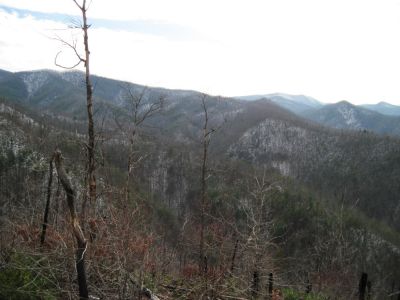Views from Big Pine Ridge
The Devil's Fork with the 'other part' of Big Pine Ridge on Rich Mountain.  Longarm Ridge and Wilson Knob in the distance.
January 2010
