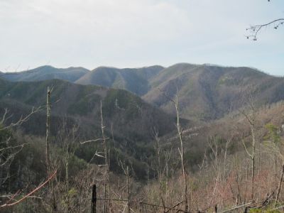 Big Pine Ridge, Longarm Ridge, and Sampson Mountain
As seen from the rock cliffs that overlook Devil's Fork,
January 2010
