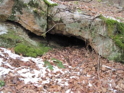 Small Cave
in Sill Branch area...
Wonder if anything lives in there?
January 2010

