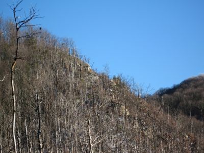 Rock Cliff Overlook on Big Pine Ridge
January 2010

