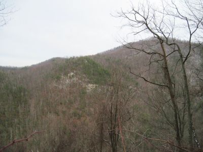 'Boney Knuckle Knob'
...with the 'Monkey-Head Rocks' cliffs, as seen from Big Pine Ridge Knob...
January 2010
