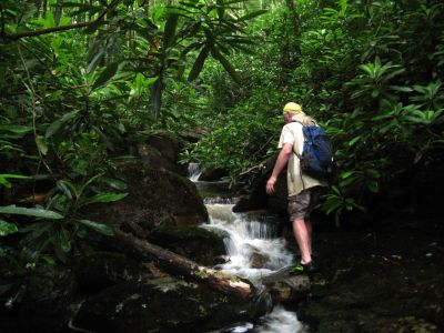 Dan-o Climbing Cascade
Cherokee National Forest
6-24-2018
