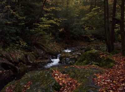 Swimming Hole
October 2009
