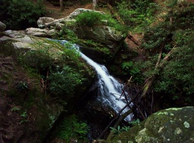 Cascades just below the Blue Hole Falls
On Holston Mountain, August 2009
