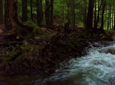 Cascades on Clarks Creek
August 2009
