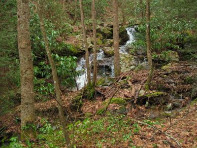 Cascades
...on the 'South Branch' of Sill Branch Creek,
3-11-10
