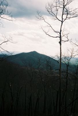 Cherokee Mountain Knob
View from Buffalo Mountain
