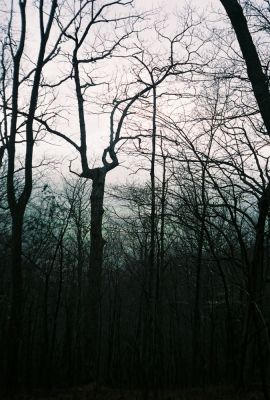 Cherokee Mountain Knob
view 
