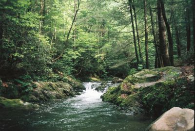 Swimming Hole
Swimming hole in Clark's Creek
