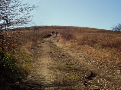 Big Bald
Doug and Rat blue-blazing up Big Bald,
October 2009
