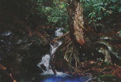 Waterfall on Flattop Mountain
Small set of waterfalls on the A.T. on Flattop Mnt
