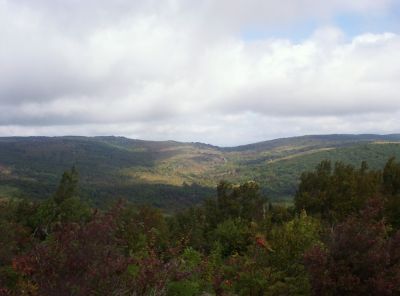 Grayson Highlands
View
