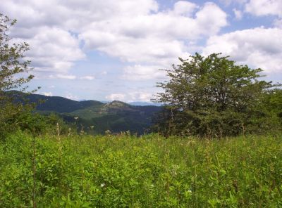 Appalachian Trail
View of cabins in wolf Laurel from meadow near Sam's Gap,
July 2009
