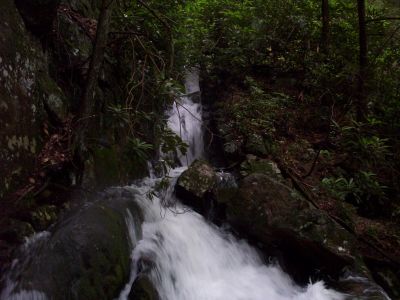 Jones Branch Waterfalls
'The Chasm' in the cliff face that funnels water to the  top of the falls. 
June, 2009

