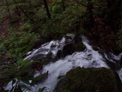 Jones Branch Waterfalls
View from top...
June, 2009
