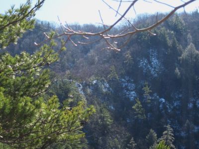 The Left Ridge Top
Knife's Edge-like ridge that is positioned directly across from Buckeye Falls,
3-6-10
