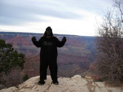 Planet of the Low Riders
Grand Canyon
