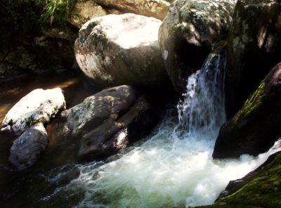 Virginia Creeper Trail
More Waterfalls...
9-09
