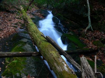 Rock Cascade
Part of the 'Phantom Trace' series of waterfalls on Unaka Mountain, 11-14-2015
