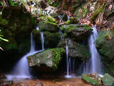 Meter Falls
Li'l Slot Canyon Hollow,
Sampson Wilderness,
2016
