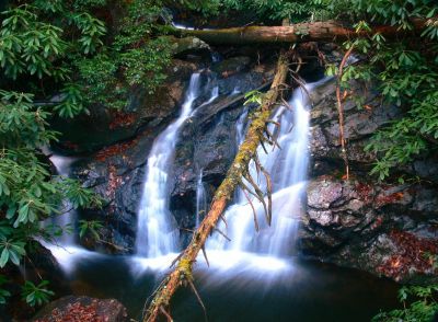 Falls on Shinbone Creek
Unaka Mountain (NC side),
12-8-2016
