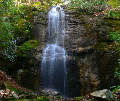 Upper Falls on Pete's Branch
3-8-2017
