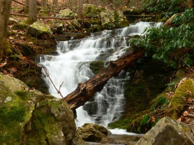 Lower Wilderness Falls
Rich Mountain,
3-19-2017
