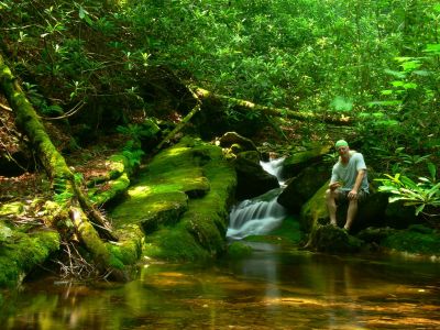 Dan-o 
First cascade on creek surf through Cherokee National Forest
6-17-2018
