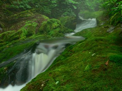 Cascades
Cherokee National Forest
6-24-2018
