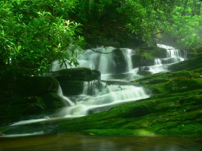 Stairstepping Waterfall
Cherokee National Forest
6-24-2018
