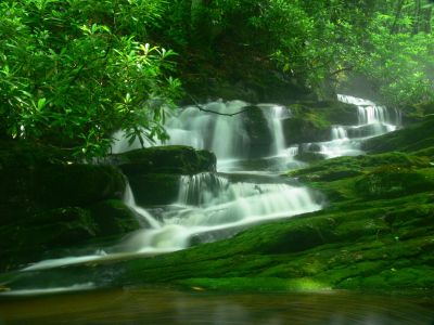 Stairstepping Waterfall
Cherokee National Forest
6-24-2018
