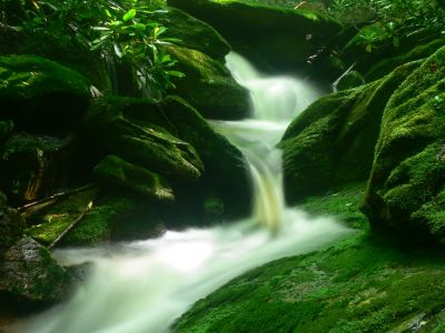 Cascades
Cherokee National Forest
6-24-2018
