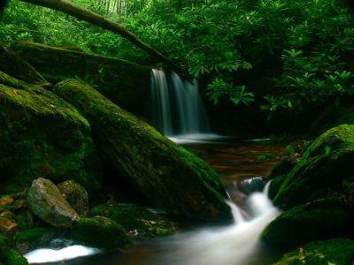 Scenic Waterfall
Cherokee National Forest
6-24-2018
