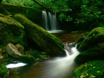 Scenic Waterfall
Cherokee National Forest
6-24-2018
