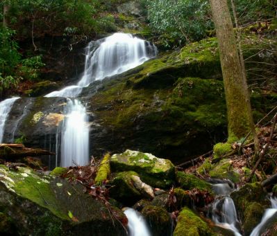 Upper Wilderness Falls
Upper Wilderness Falls
2-19-2019
